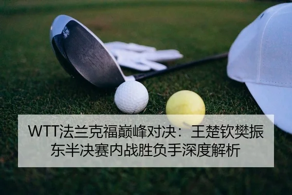 WTT法兰克福巅峰对决：王楚钦樊振东半决赛内战胜负手深度解析